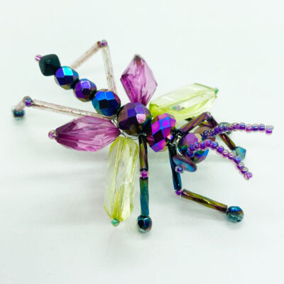 Priscilla the Purple Winged Grasshopper
